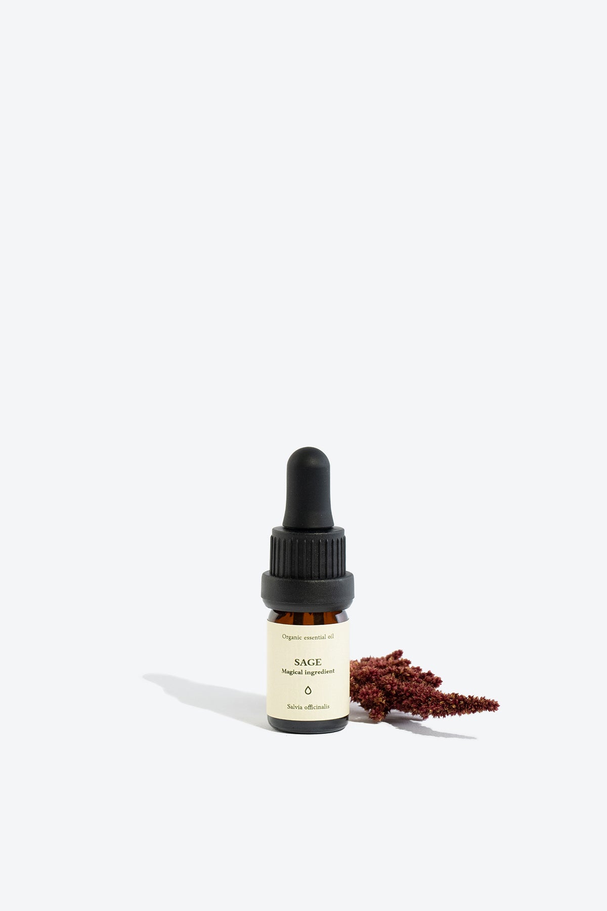 Sage essential oil SMELLS LIKE SPELLS Salvia officinalis